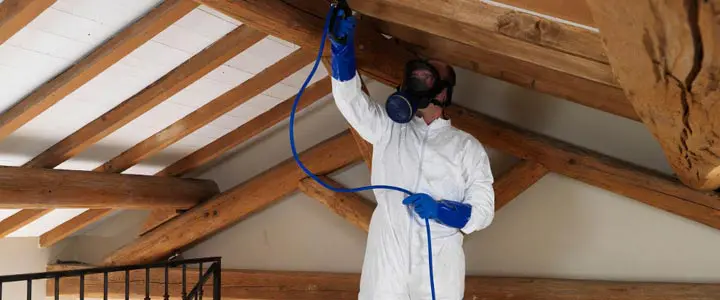 Traitement charpente